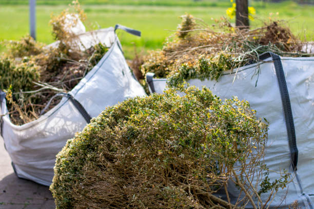 Best Basement Cleanout Services  in Vidalia, GA